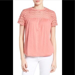 Caslon Yoke Knit Top NWT!